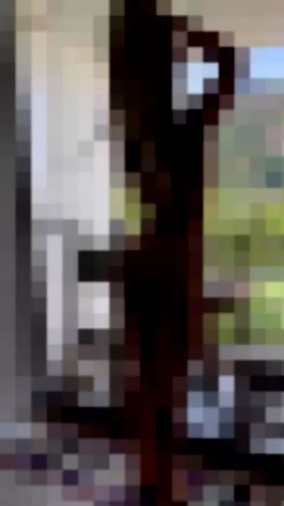 Emelly Souza Video video thumbnail