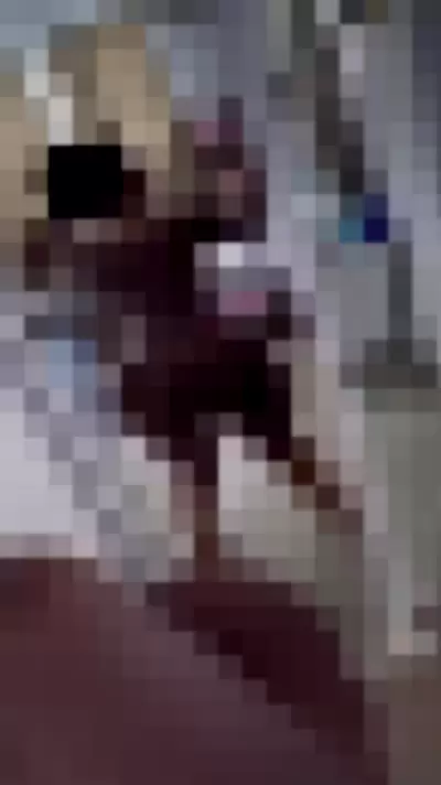 graciebon1 Video video thumbnail