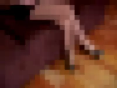 Lela Star - Z3YRvSfPUH