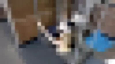 Mariah May Video video thumbnail