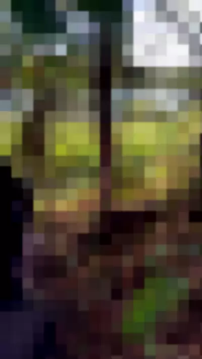 Valvampire - uv4EALkyrq video thumbnail