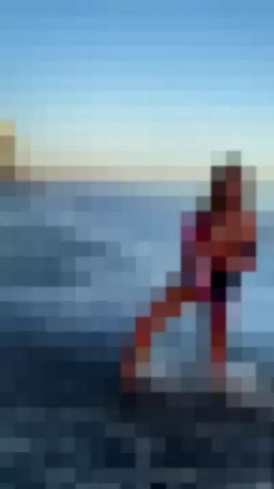 Denise Richards Video video thumbnail