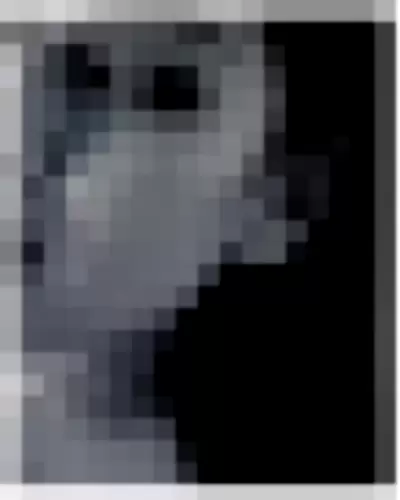 Ursula Video video thumbnail