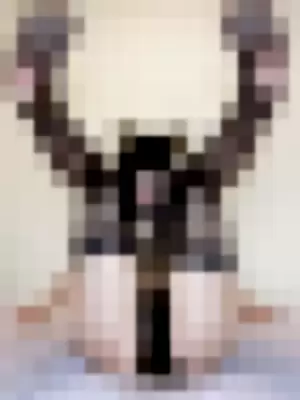 Niceoppi profile photo