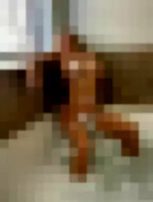 Texas Thighs profile photo