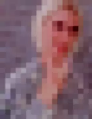 brynnwoods profile photo